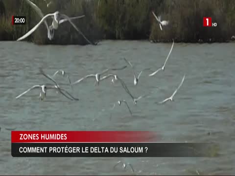 JT 20H du mercredi 23 juil. 2025