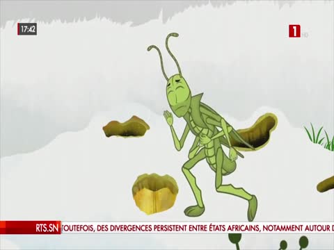 EDITION DU SOIR du mercredi 06 août 2025