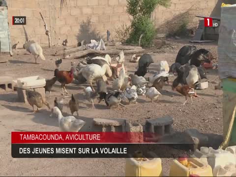 JT 20H du mardi 04 nov. 2025