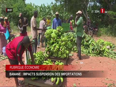 JT 20H du jeudi 13 nov. 2025