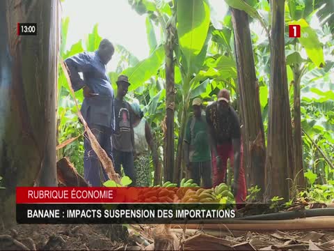 JOURNAL TELEVISE 13H du vendredi 14 nov. 2025