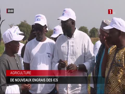 JT 20H du jeudi 20 nov. 2025