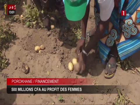 JOURNAL TELEVISE 13H du vendredi 12 déc. 2025