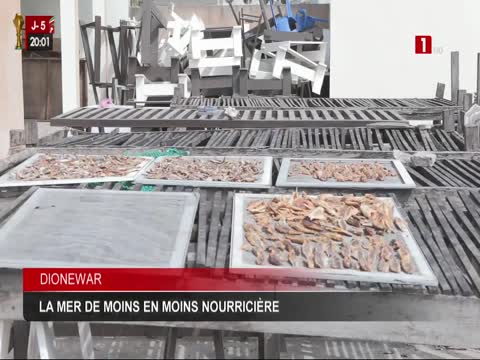 JT 20H du mardi 16 déc. 2025