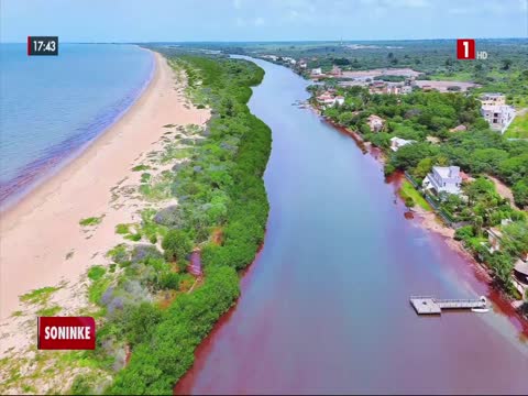 EDITION DU SOIR du jeudi 15 janv. 2026