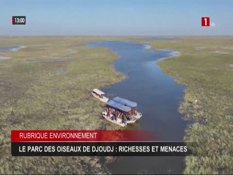 JOURNAL TELEVISE 13H du dimanche 25 janv. 2026