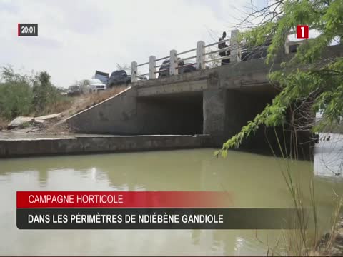 JT 20H du samedi 31 janv. 2026