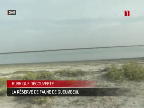 JT 20H du vendredi 06 févr. 2026