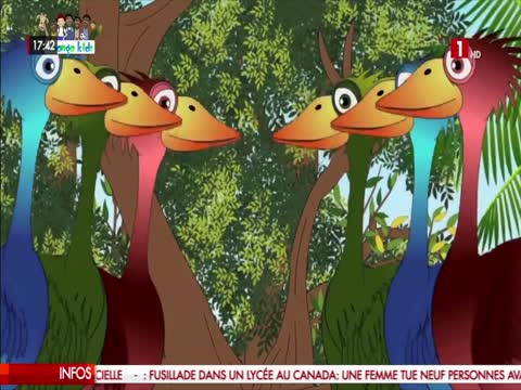 EDITION DU SOIR du mercredi 11 févr. 2026