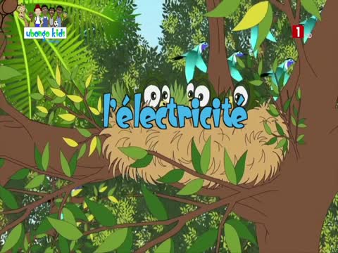 EDITION DU SOIR du jeudi 12 févr. 2026