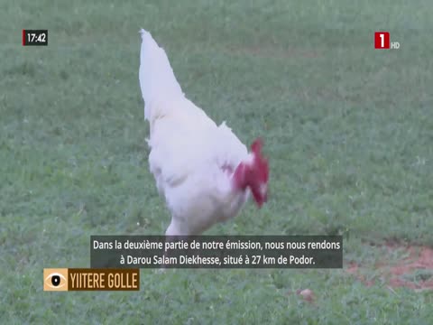 EDITION DU SOIR du samedi 14 févr. 2026