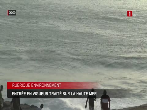 JT 20H du samedi 14 févr. 2026