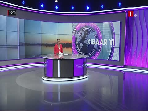 XIBAAR YI du dimanche 15 févr. 2026