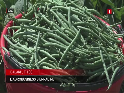 JT 20H du samedi 21 févr. 2026