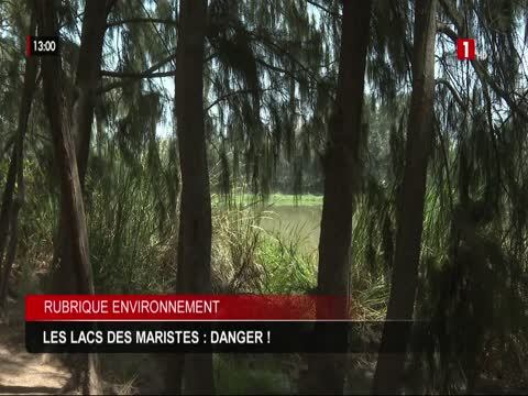 JOURNAL TELEVISE 13H du dimanche 01 mars 2026