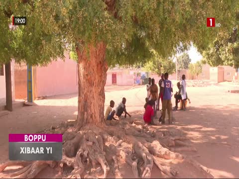 XIBAAR YI du mercredi 01 avr. 2026