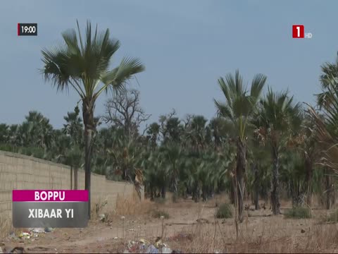 XIBAAR YI du dimanche 05 avr. 2026