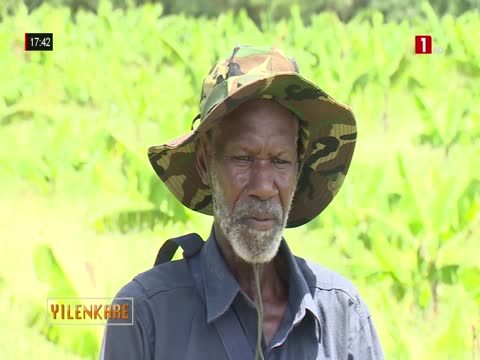 EDITION DU SOIR du samedi 11 avr. 2026