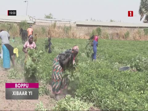 XIBAAR YI du lundi 13 avr. 2026