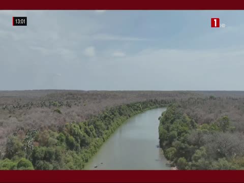 JOURNAL TELEVISE 13H du mardi 14 avr. 2026