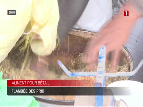 JT 20H du jeudi 23 avr. 2026