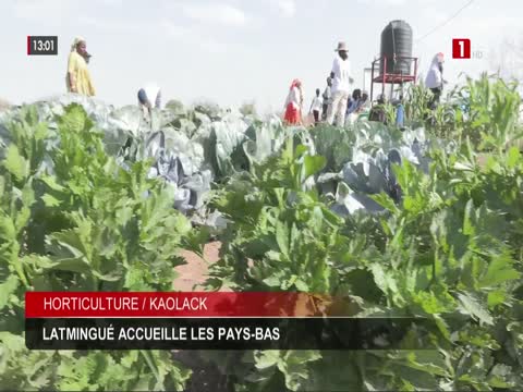 JOURNAL TELEVISE 13H du mardi 12 mai 2026