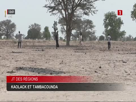 JOURNAL TELEVISE 13H du samedi 06 juin 2026