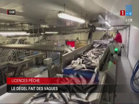 JOURNAL TELEVISE 13H du dimanche 14 juin 2026