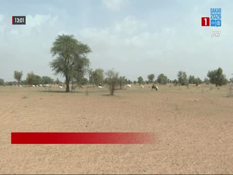 JOURNAL TELEVISE 13H du dimanche 26 juil. 2026