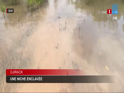 JOURNAL TELEVISE 13H du mardi 04 août 2026