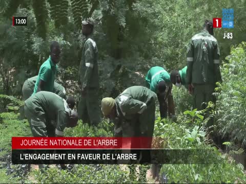 JOURNAL TELEVISE 13H du dimanche 09 août 2026