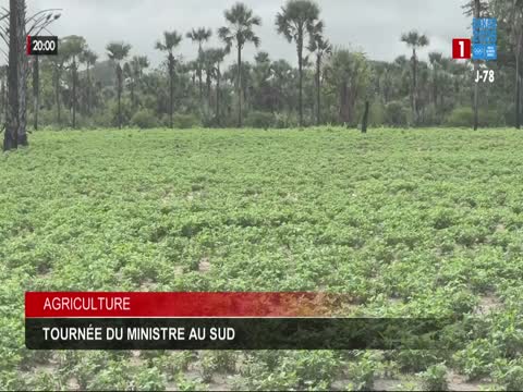JT 20H du vendredi 14 août 2026