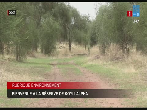 JT 20H du samedi 15 août 2026