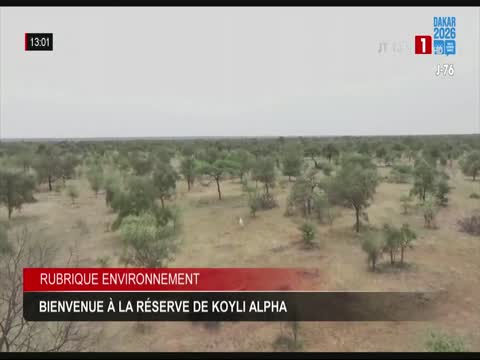 JOURNAL TELEVISE 13H du dimanche 16 août 2026