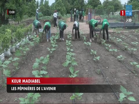 JOURNAL TELEVISE 13H du jeudi 01 oct. 2026