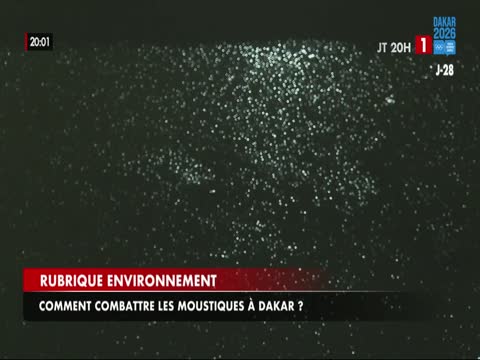 JT 20H du samedi 03 oct. 2026