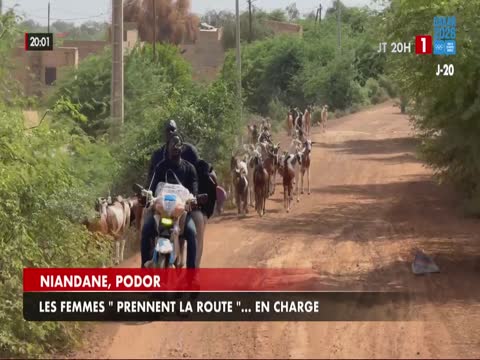 JT 20H du dimanche 11 oct. 2026