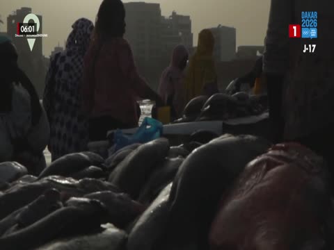 KENKELIBAA du mercredi 14 oct. 2026