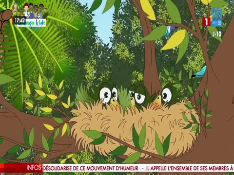 EDITION DU SOIR du mercredi 21 oct. 2026