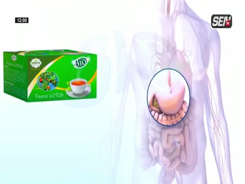 DMedia | SenTV & ZikFM en live et en replay