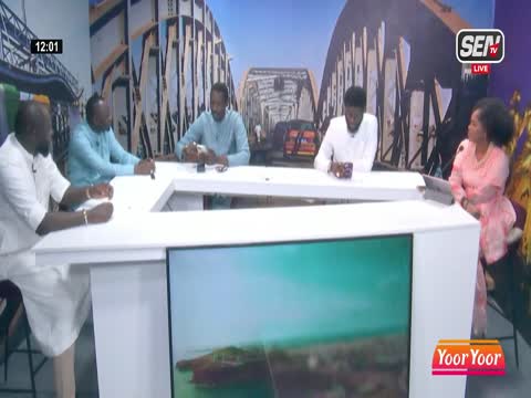 DMedia | SenTV & ZikFM en live et en replay